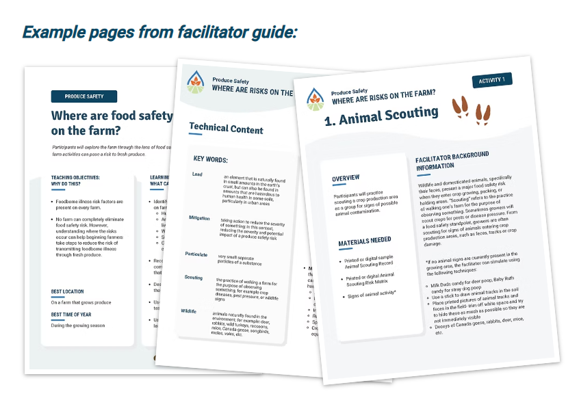 For decorative purposes.